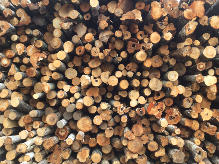 Firewood Options Green, Seasoned, Kilndried & More