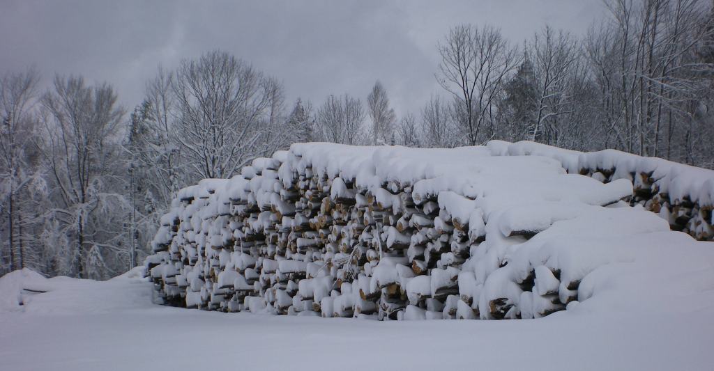 Contact Us Reed's Firewood Let us know how we can help!